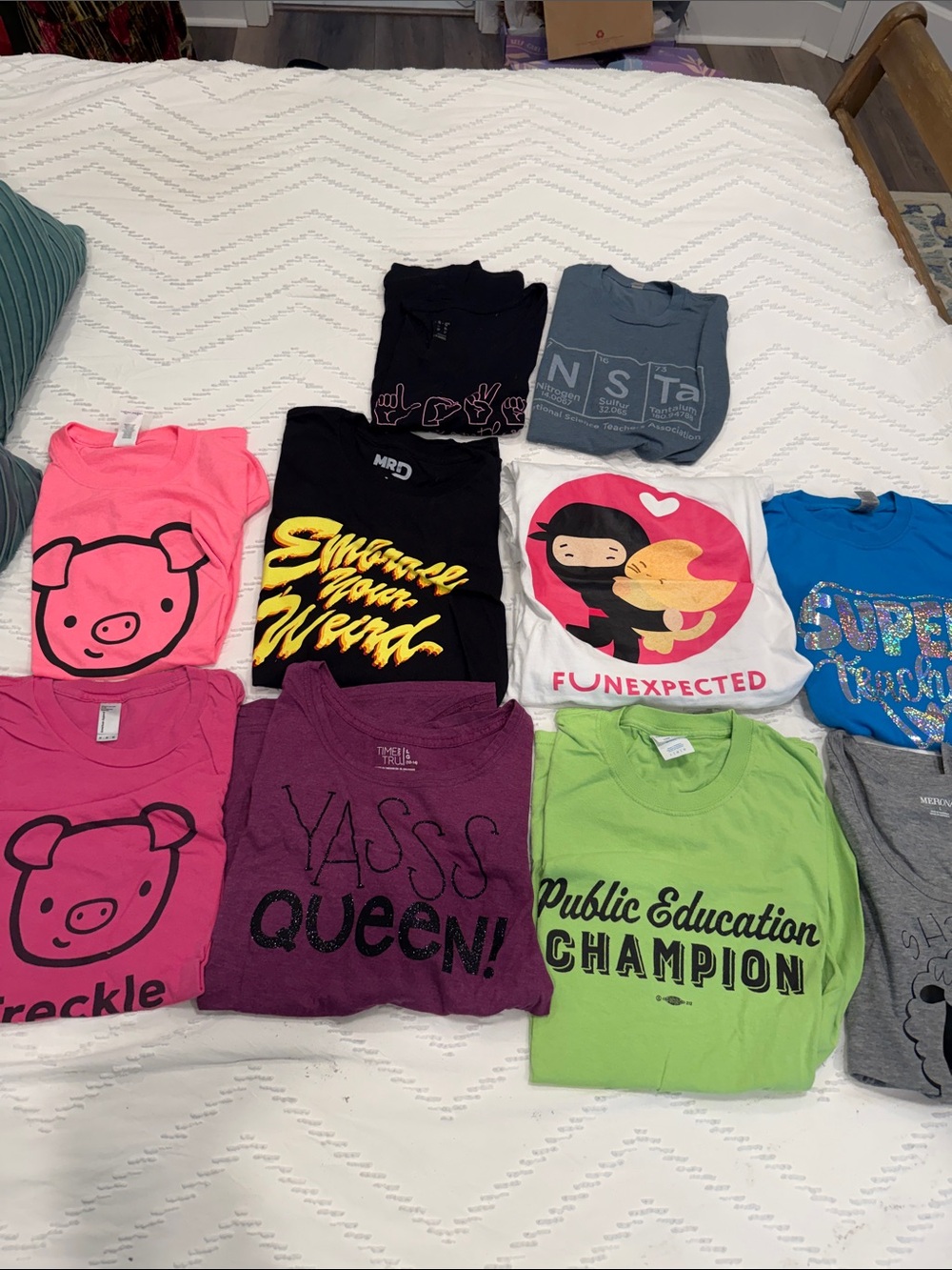 Lot of 10 Teacher T-shirts